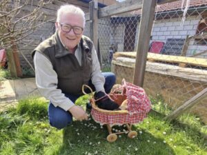 Daniel Furrer mit den Welpen „von der Bächiweid“ - Klub Dachsbracke 2023