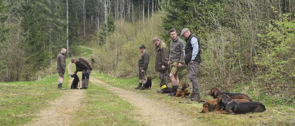 Hundeführerlehrgang in Gußwerk - Klub Dachsbracke 2023