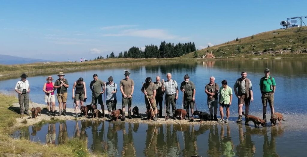 Almwandertag der Dachsbrackenfreunde aus Kärnten - Klub Dachsbracke 2023