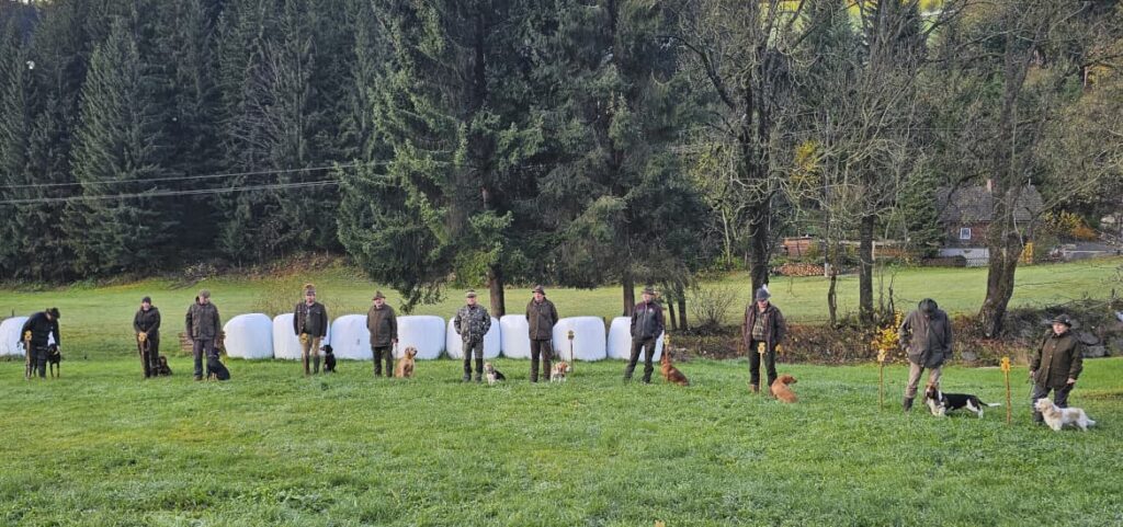 Internationale Brackierprüfung mit CACIT Vergabe in St.Kathrein am Hauenstein - Klub Dachsbracke 2023