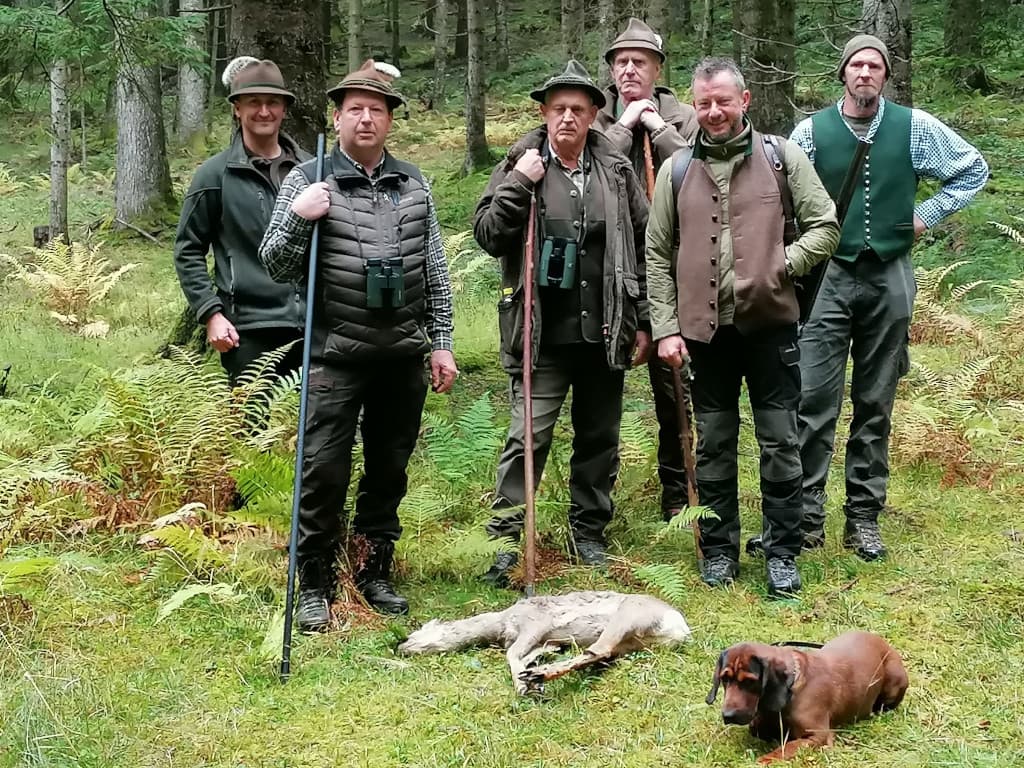 Gebrauchsprüfung Salzburg 2025 - Klub Dachsbracke