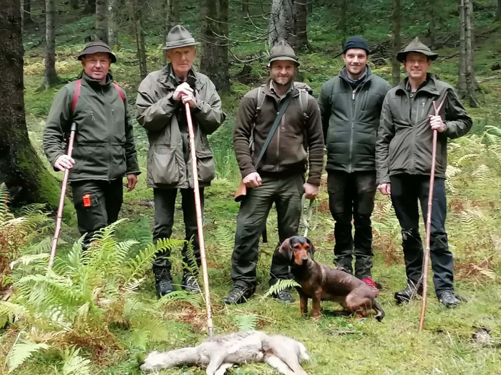 Gebrauchsprüfung Salzburg 2025 - Klub Dachsbracke