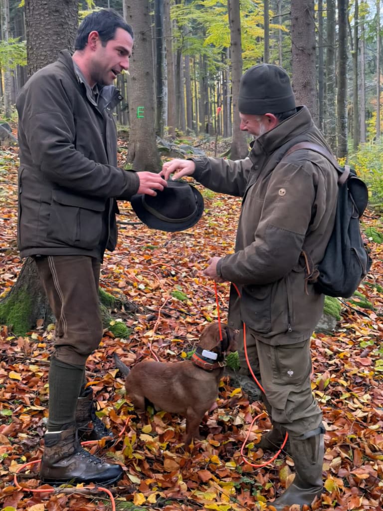 Gebrauchsprüfung Wien/Niederösterreich/Burgenland- Klub Dachsbracke 2025