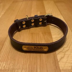 Halsband Leder mit Logo
