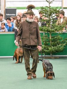 Helmut Breitfuß mit Milan von der Stockerwand - Klub Dachsbracke 2026