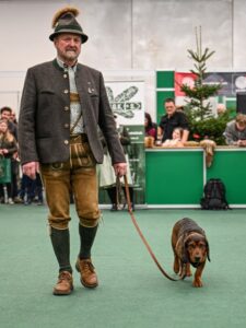 Karl Oberlechner mit Lona von der Stockerwand - Klub Dachsbracke 2026