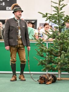 Karl Oberlechner mit Lona von der Stockerwand - Klub Dachsbracke 2026