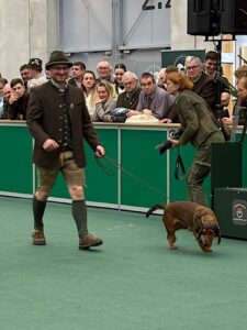 Walter Holzmann mit Wanja von der Aineckalm - Klub Dachsrbacke 2026