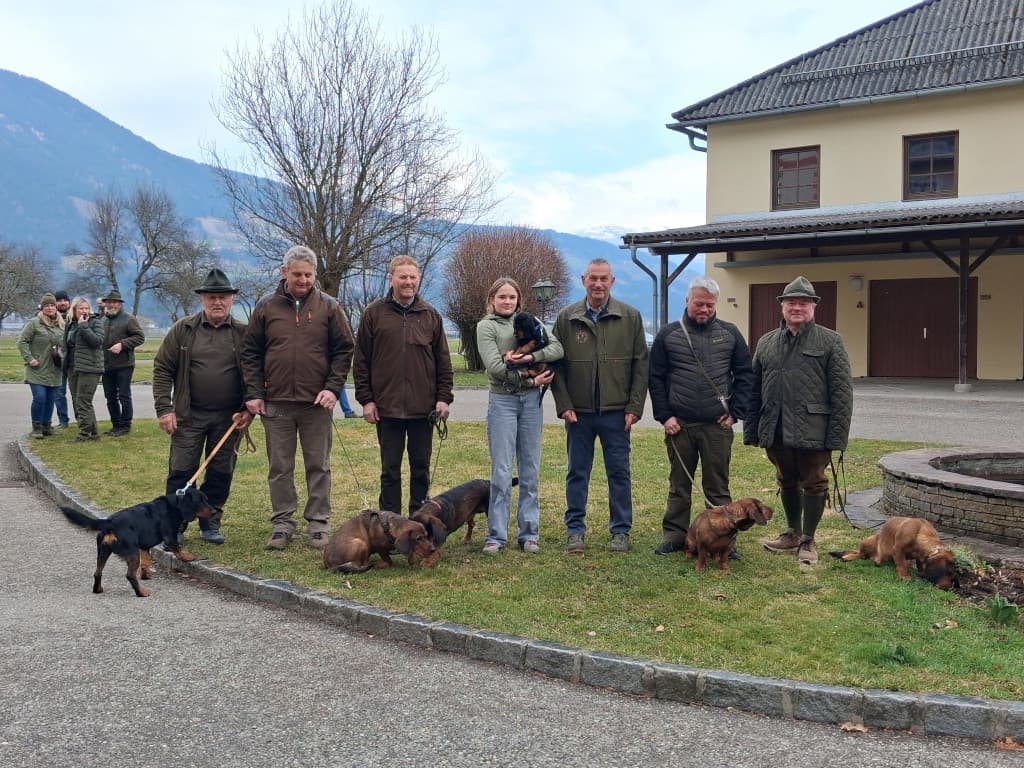 Jagdhundevorstellung Kärnten im Schloss Drauhofen - Klub Dachsbracke 2026