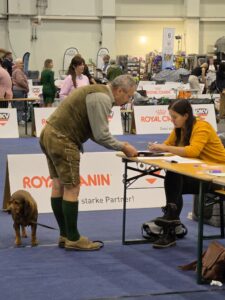 Hundeaustellung Tulln - Klub Dachsbracke 2026