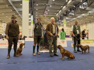 Hundeaustellung Tulln - Klub Dachsbracke 2026